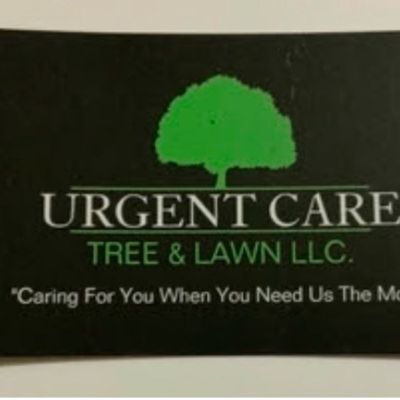 Avatar for Urgent Care Tree & Lawn