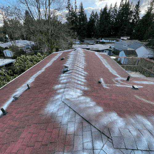 Moss off powder application on roof