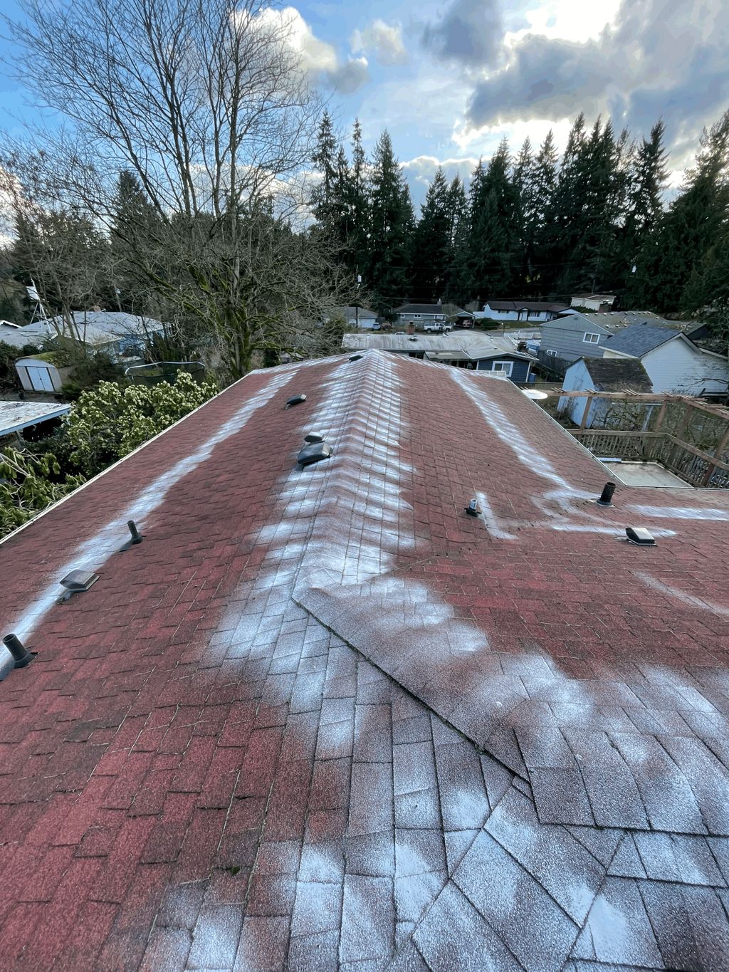 Moss off powder application on roof