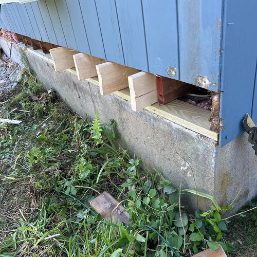 Sistering termite damaged floor joists 