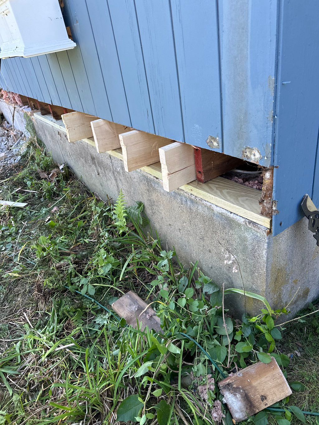 Sistering termite damaged floor joists 