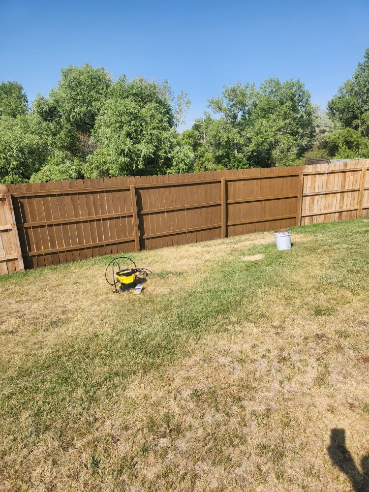 Fence Powerwashing/Staining 