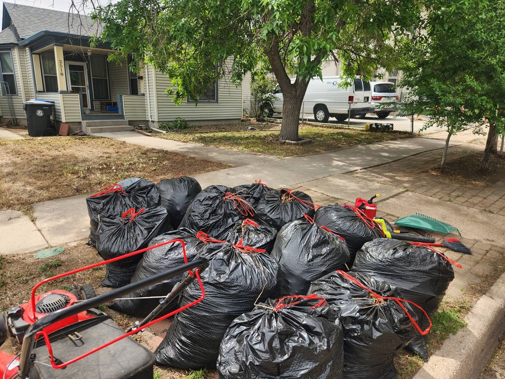 Yard Cleanup