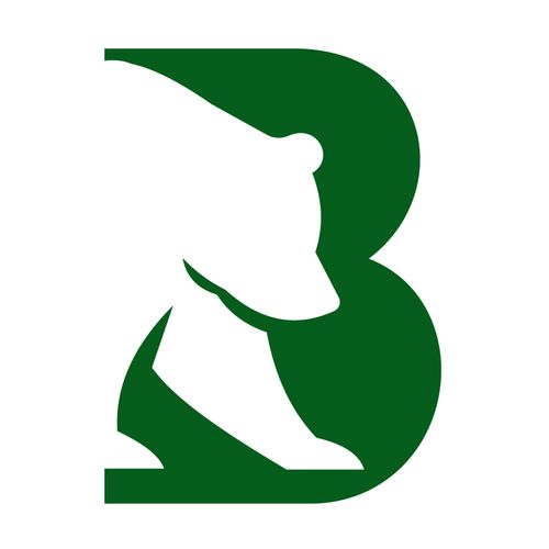 Bear Construction Profile Picture
