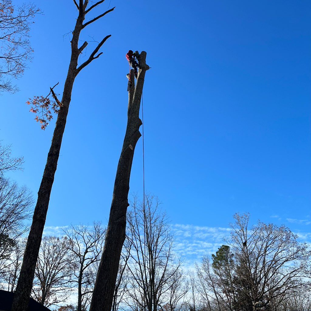 A&L Tree Service