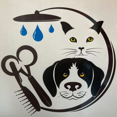 Avatar for Oh My Dogs & Cats