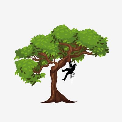 Avatar for Sammy’s Tree Services