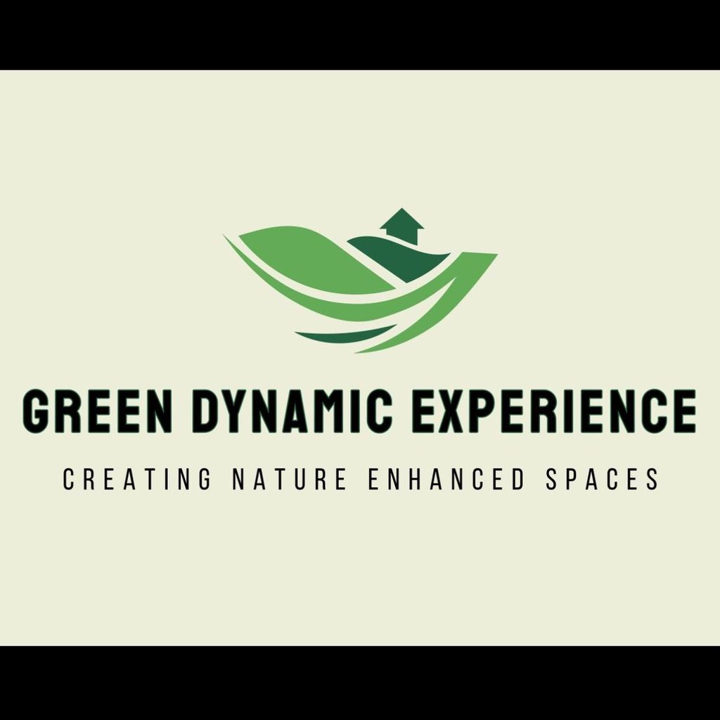 GREEN DYNAMIC EXPERIENCE