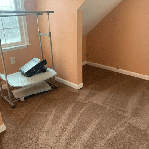 Carpet Cleaning