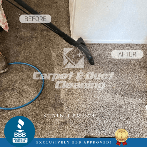 carpet cleaning