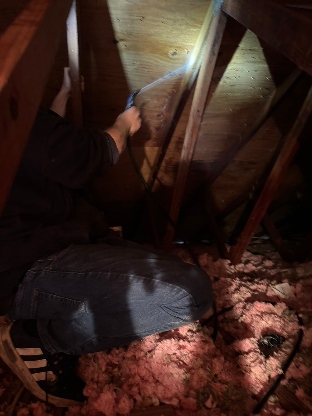 Drywood Termite Attic Treatment