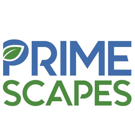 PrimeScapes