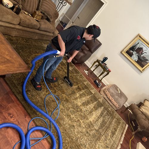 Deep clean dog odor and stain removal