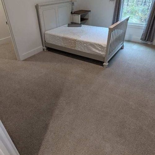 Carpet Cleaning