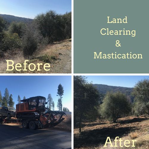 Land Clearing