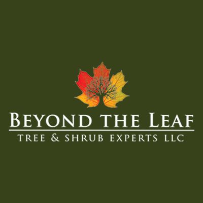 Avatar for Beyond The Leaf Tree and Shrub Experts LLC