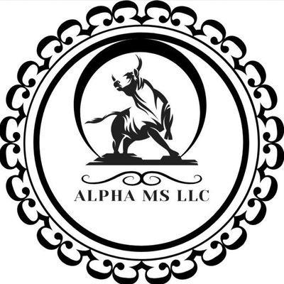 Avatar for ALPHA MS LLC