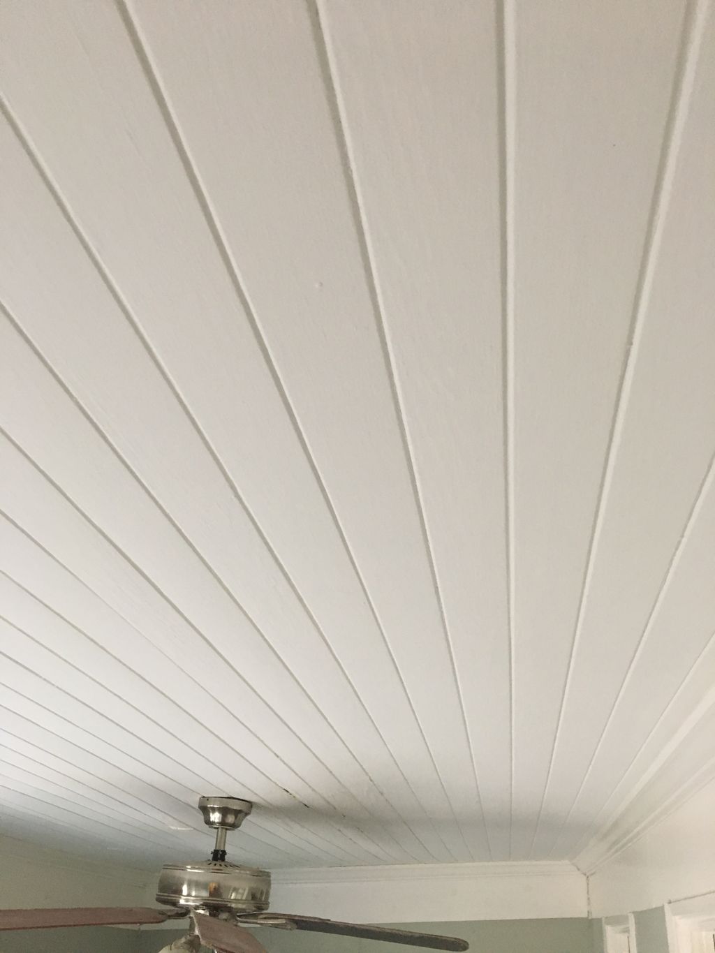 Sprayed Ceiling