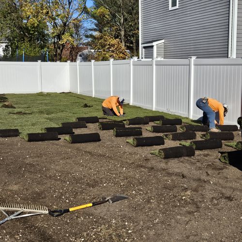 Sod Installation