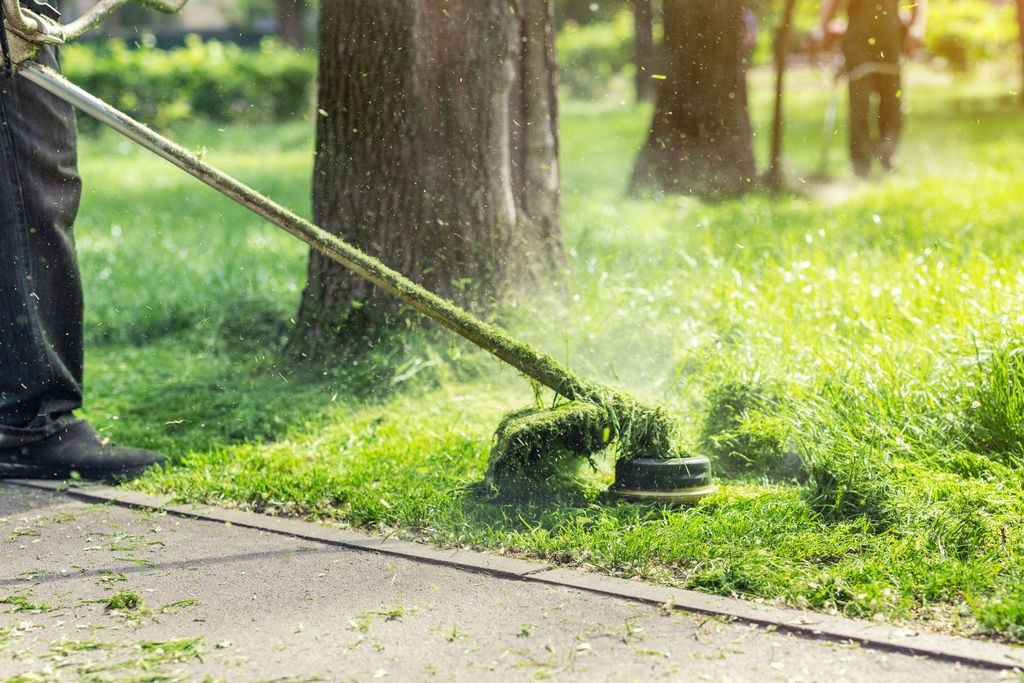 Lawn Care Services