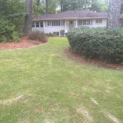 Full Service Lawn Care