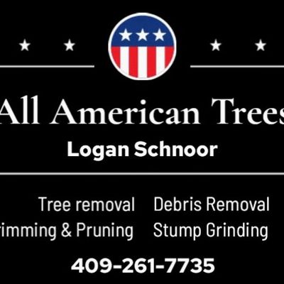 Avatar for All American Trees