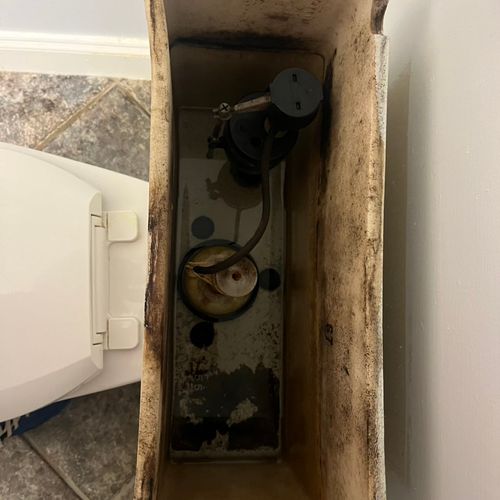 Old guts for toilet 