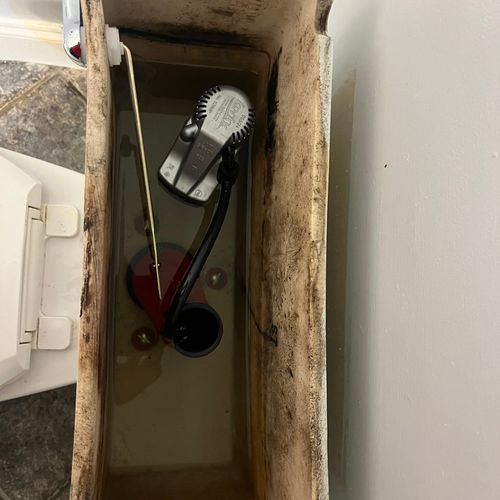 New guts replaced for toilet 