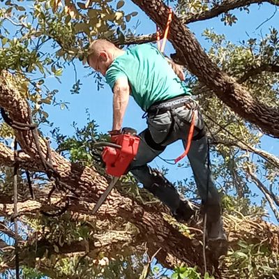 Avatar for trust worthy tree trimmers