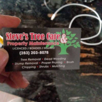 Avatar for Steve's tree care & property maintenance llc