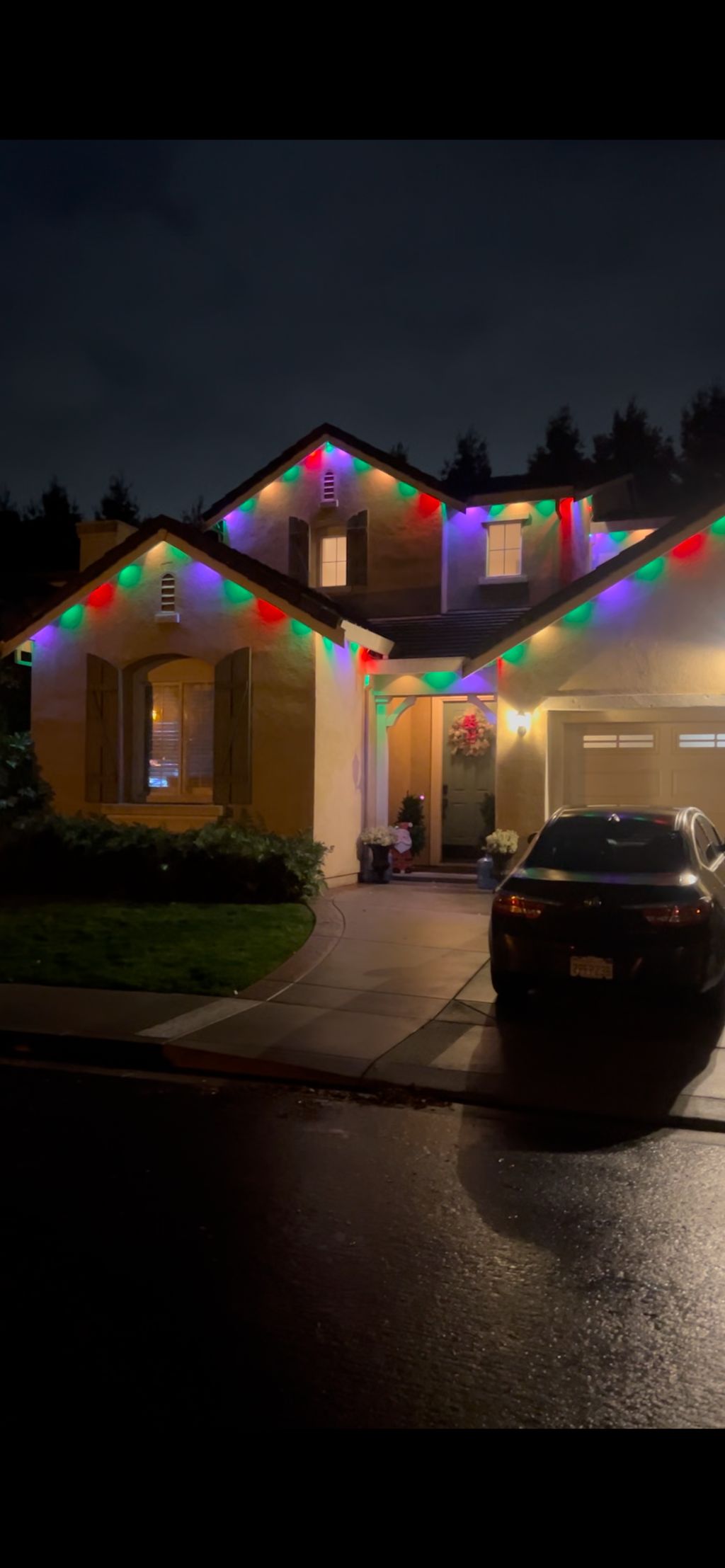 Holiday Lighting Installation and Removal