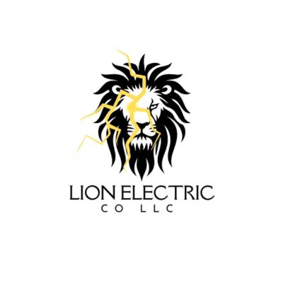 Avatar for Lion Electric CO