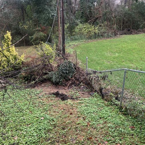 Fence and Gate Repairs