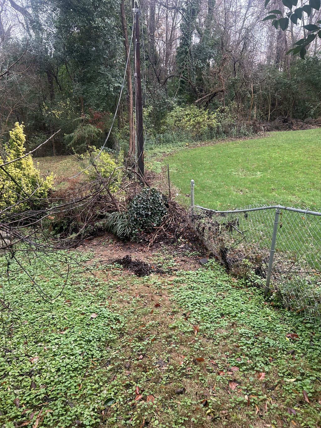 Fence and Gate Repairs