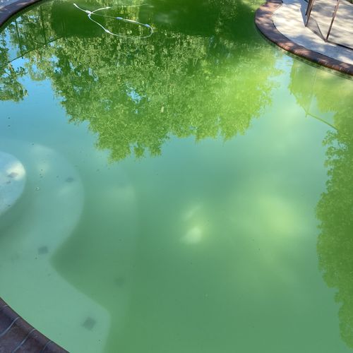 Swimming Pool Cleaning, Maintenance, and Inspection