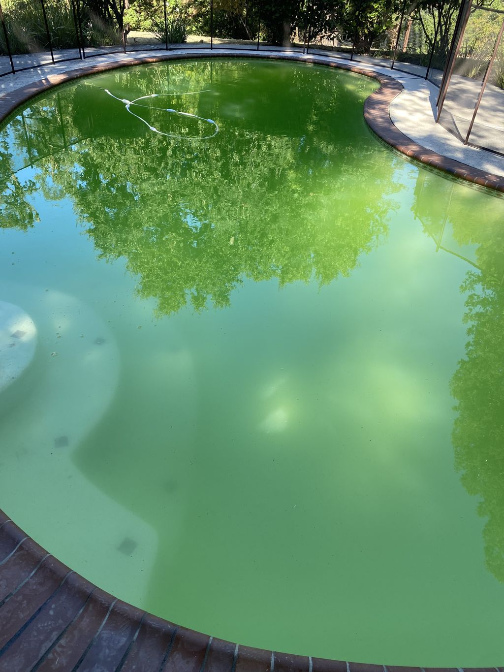 Swimming Pool Cleaning, Maintenance, and Inspection