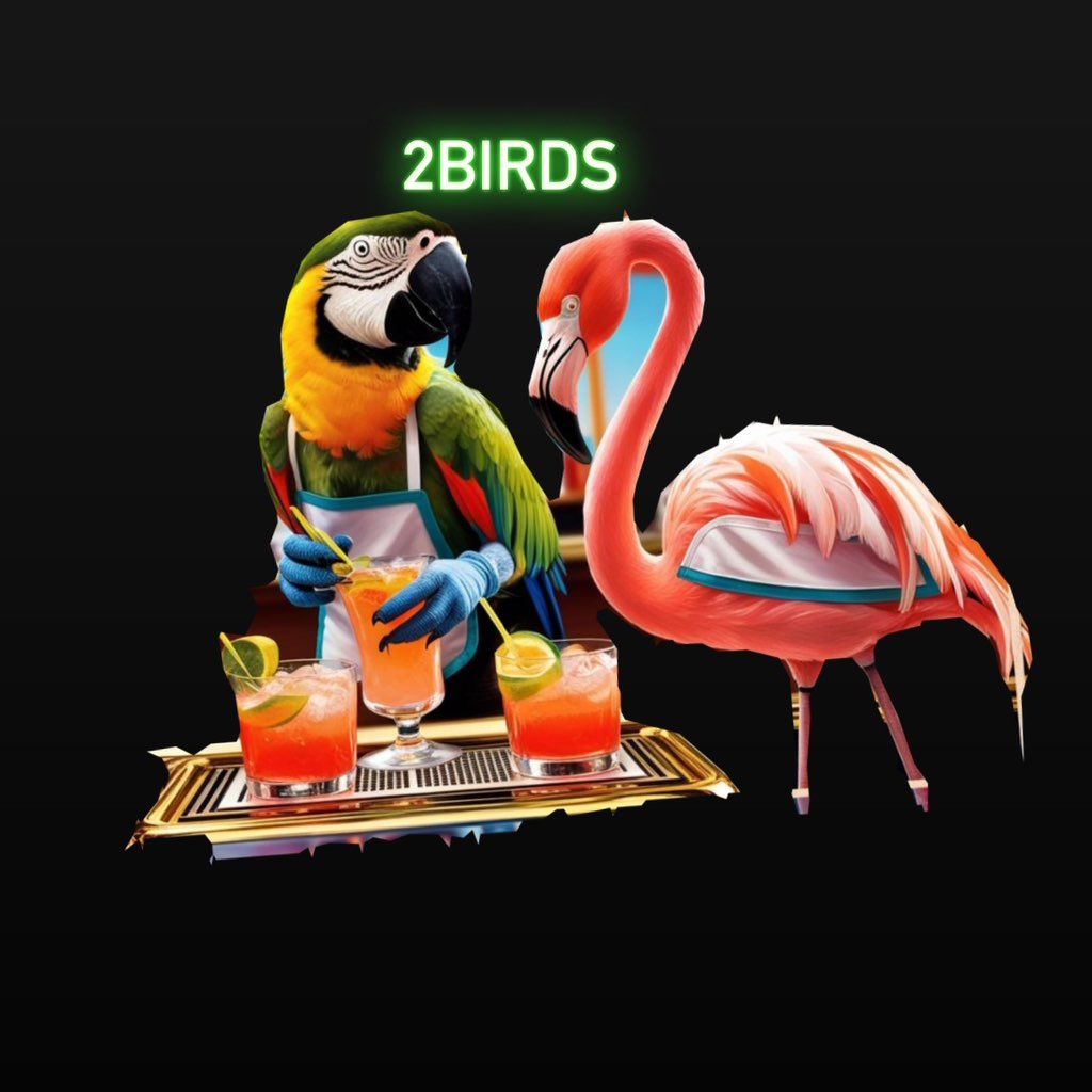 2birds