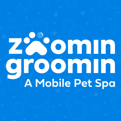 Avatar for Zoomin Groomin South Fort Lauderdale