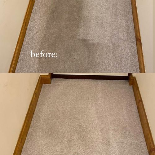 Carpet Cleaning