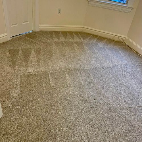 Carpet Cleaning