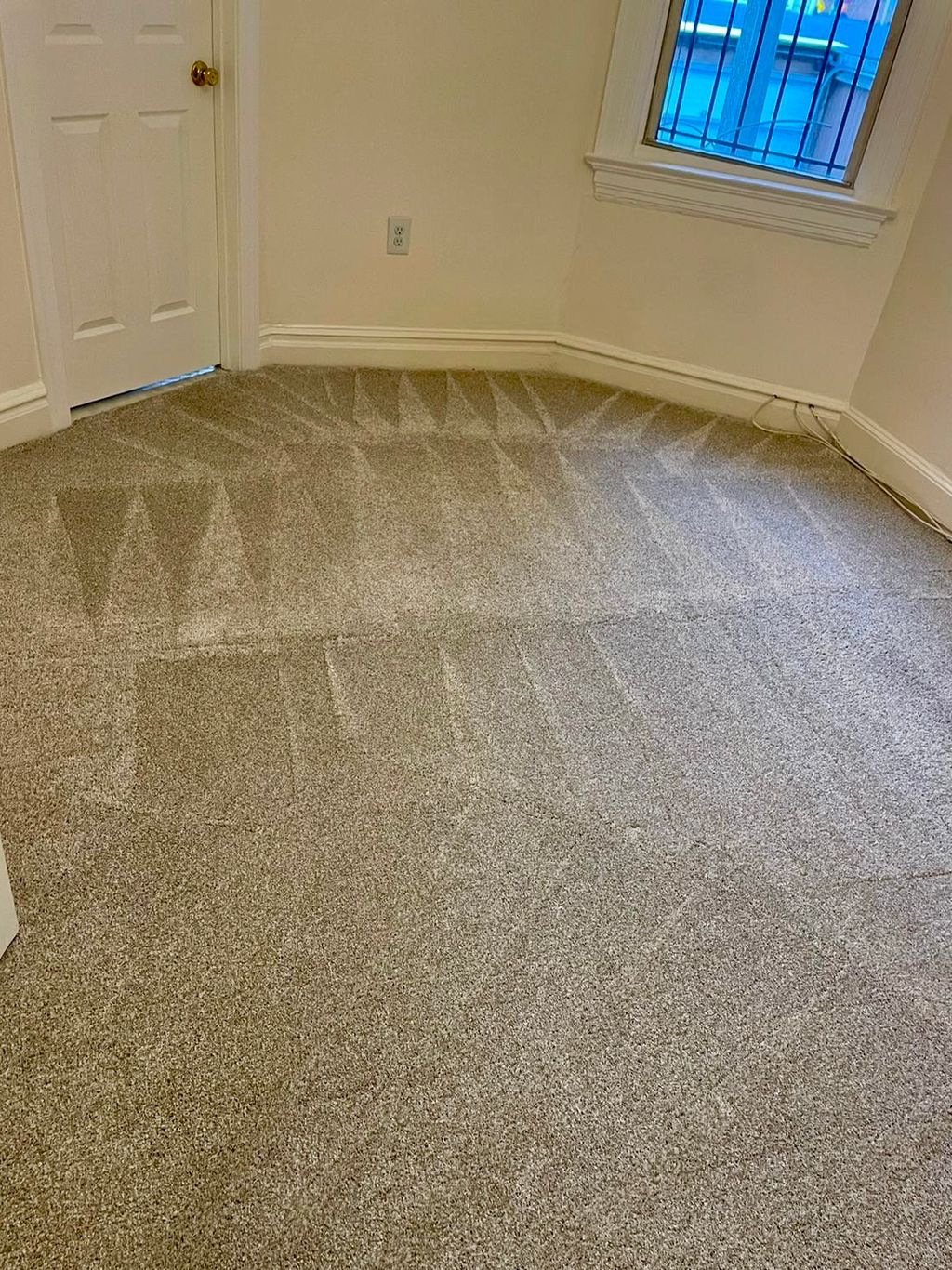 Carpet Cleaning