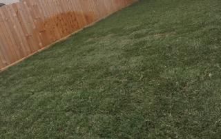 Sod Installation