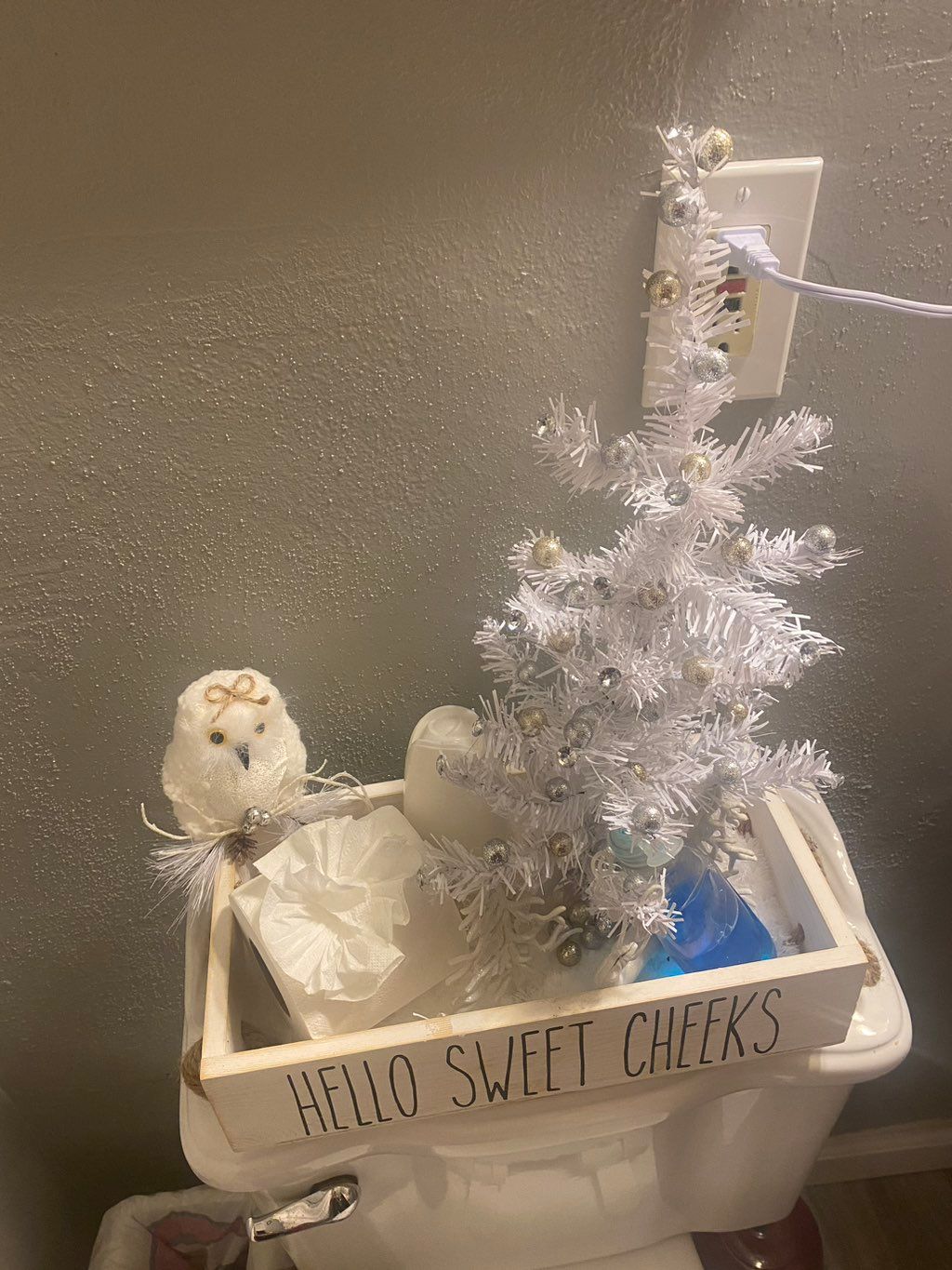 Customer photos