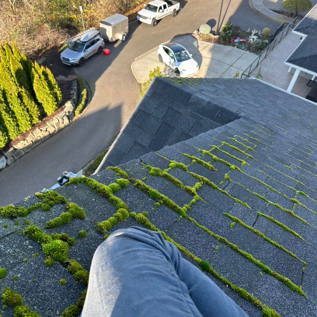 Moss Boss Roof Care