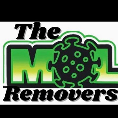 Avatar for The Mold Removers LLC