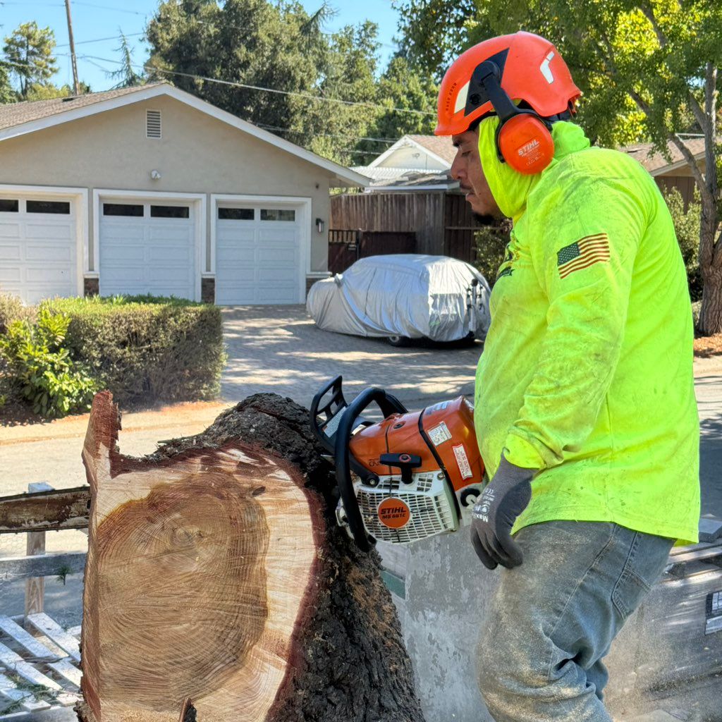 S&L Tree Service