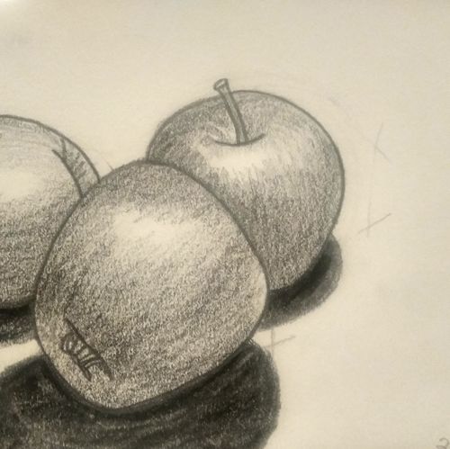 Pencil Study of three apples  (Student Project)