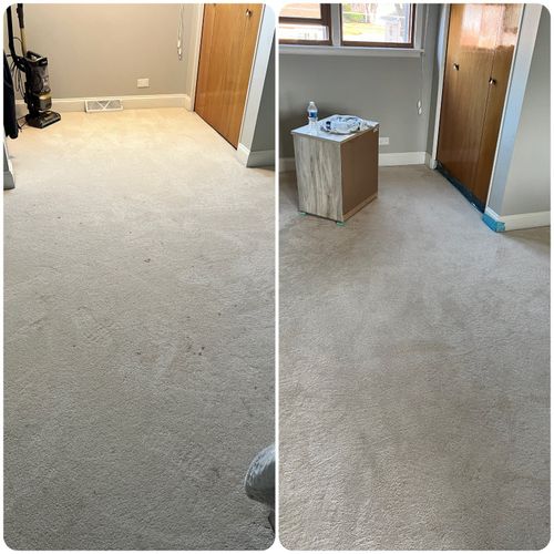 Our carpet was in terrible shape after six months 