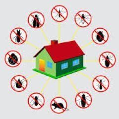 Avatar for Complete Pest Control Services