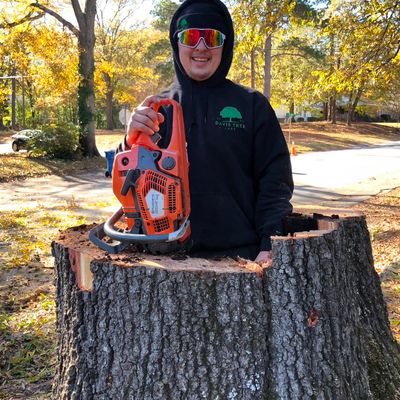 Avatar for Davis tree care